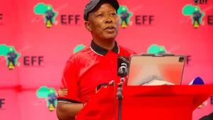 Julius Malema fails to get UK visa