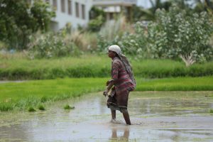 Deadly Floods Devastate South Africa’s Eastern Cape: At Least 49 Dead, More Missing