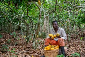 Cameroon