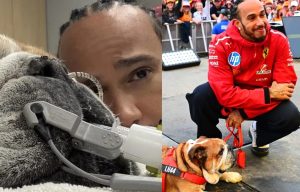 Hamilton