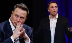 Musk 