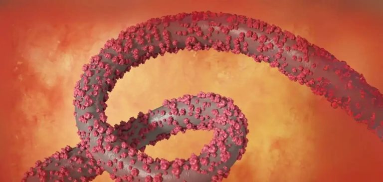 Tanzania denies suspected Marburg outbreak after WHO alert