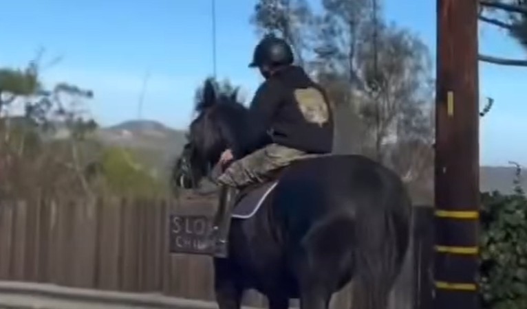 Kalyna Fedorowycz Leads Frightened Horse 14 Miles to Safety