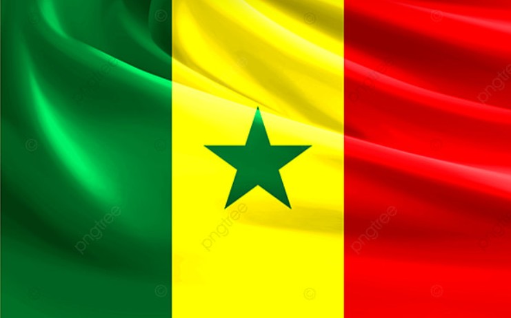 Senegalese artisans exhibit for the first time at prestigious art event