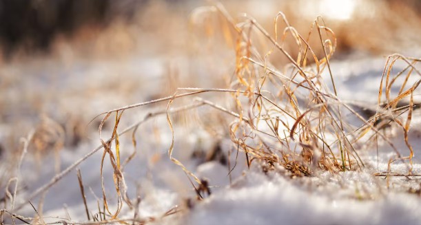 First snowfall of 2025 hits London as temperatures plummet