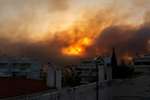 Firefighters battle raging wildfires in a scorched forest area in southern Europe as thick smoke fills the sky.