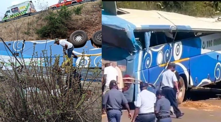 Limpopo bus