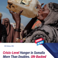 Crisis-Level Hunger in Somalia More Than Doubles, UN-Backed Experts Warn.