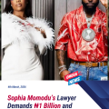 Davido Served Pre-Action Notice as Custody Dispute With Sophia Momodu Escalates.