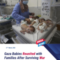 Premature Babies Evacuated from Gaza Reunite with Families After War Ordeal