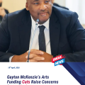 Gayton Mckenzie’s war on the arts: The impact of funding cuts on festivals