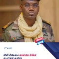 Mali confirms death of defence minister in attack in Kati