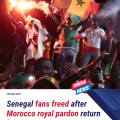 Joy in Dakar as Detained Senegal Fans Return After AFCON Incident