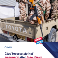Chad imposes state of emergency after Boko Haram attacks