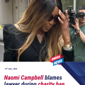 Naomi Campbell blames lawyer for ‘fraud and deception’ at charity ban appeal