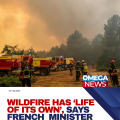 Wildfire has ‘life of its own’, says French minister, with blaze nine miles from Bordeaux outskirts