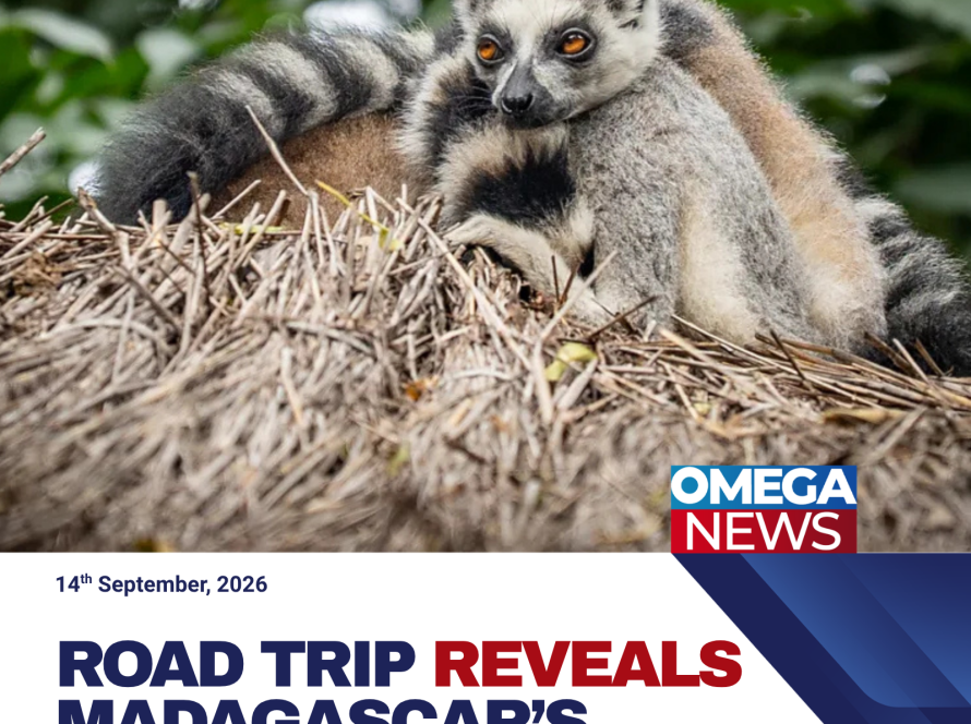 Road Trip Reveals Madagascar’s Remarkable Lemur Diversity