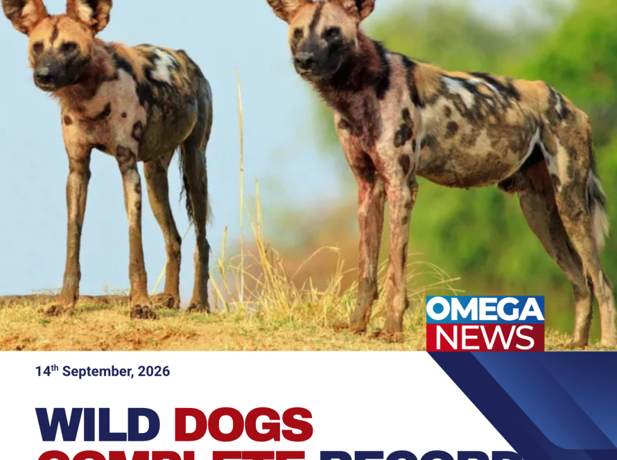 Wild Dogs Complete Record African Journey
