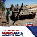 7 Ethiopian Armed Groups Form Alliance Against Government