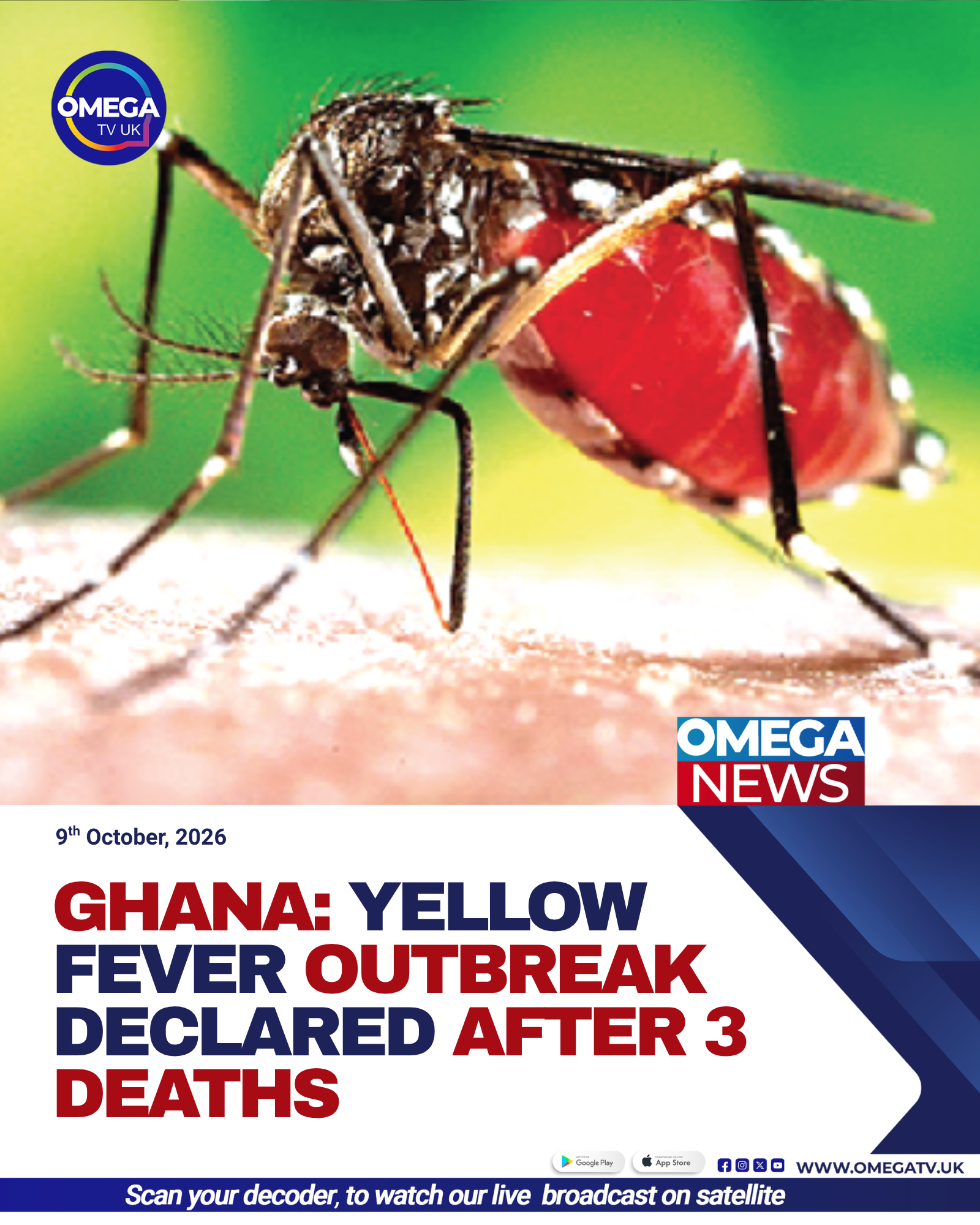 Yellow Fever Outbreak Declared After Three Deaths