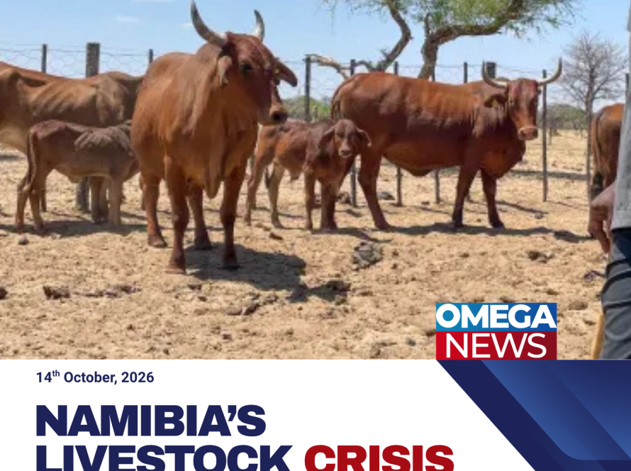 Namibia’s Livestock Crisis Deepens As Exports Face Restrictions