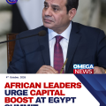 African leaders call for continent to unlock capital at Egypt business summit