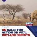 UN issues call to action on world’s vital dryland forests