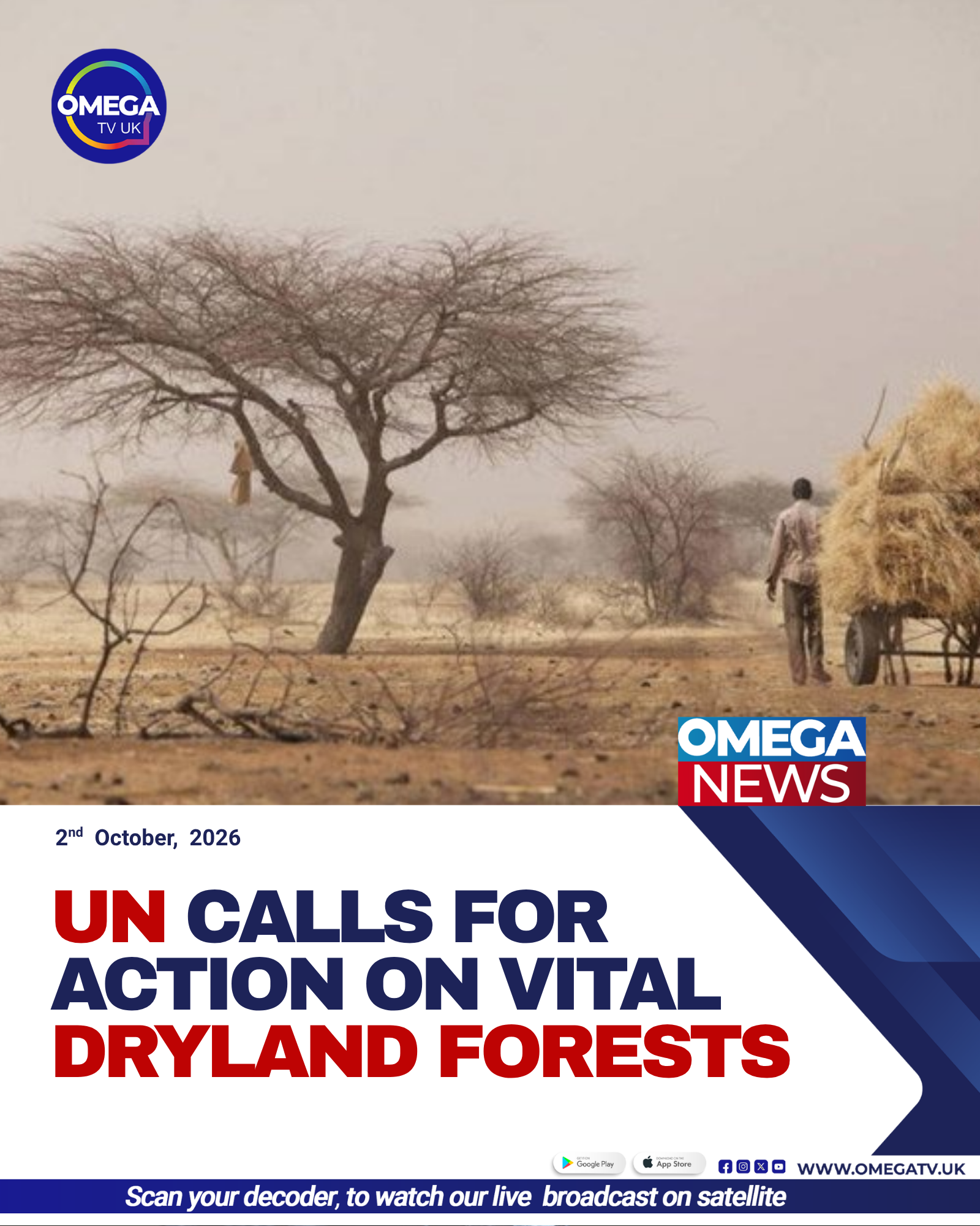 Dryland forest landscape with trees and vegetation in a water-scarce region.