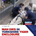 A man has died after entering the tiger enclosure at a wildlife park in Yorkshire, according to police.…